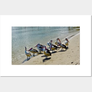 A Flock of Pelicans on the Beach! Posters and Art